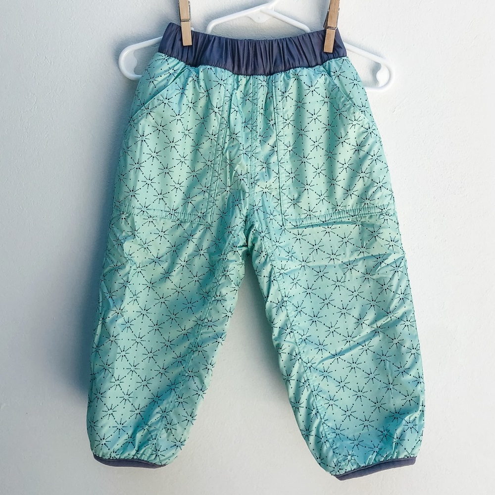 Patagonia Reversible Fleece Pant “Mint”